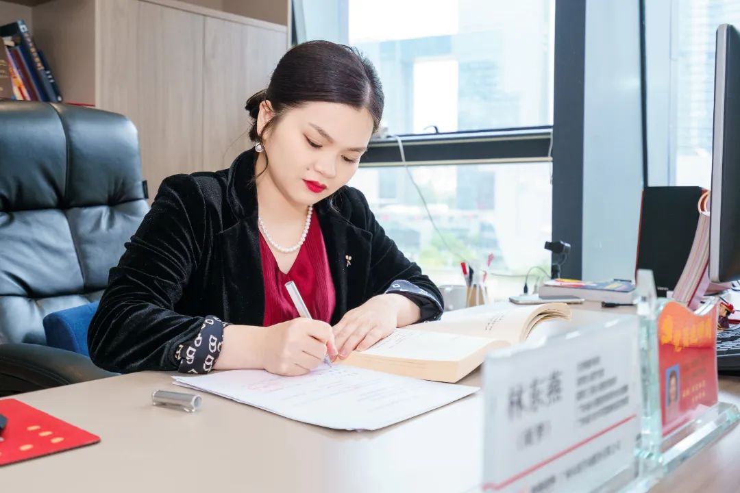 林東燕ADSOI理論框架概覽